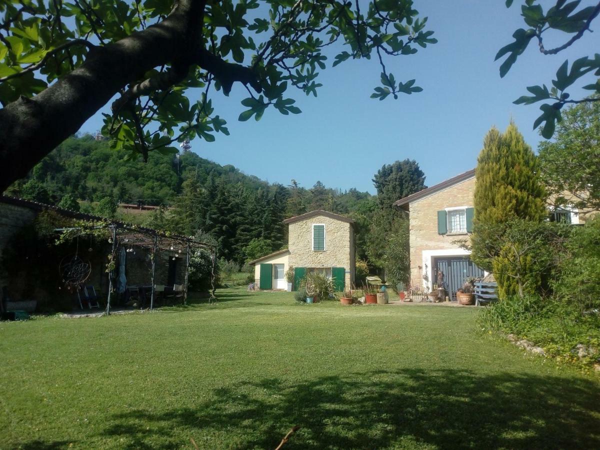la cana dolce Bertinoro Exterior foto
